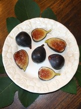 Fruits & Herbs copyright � almostedenplants.com